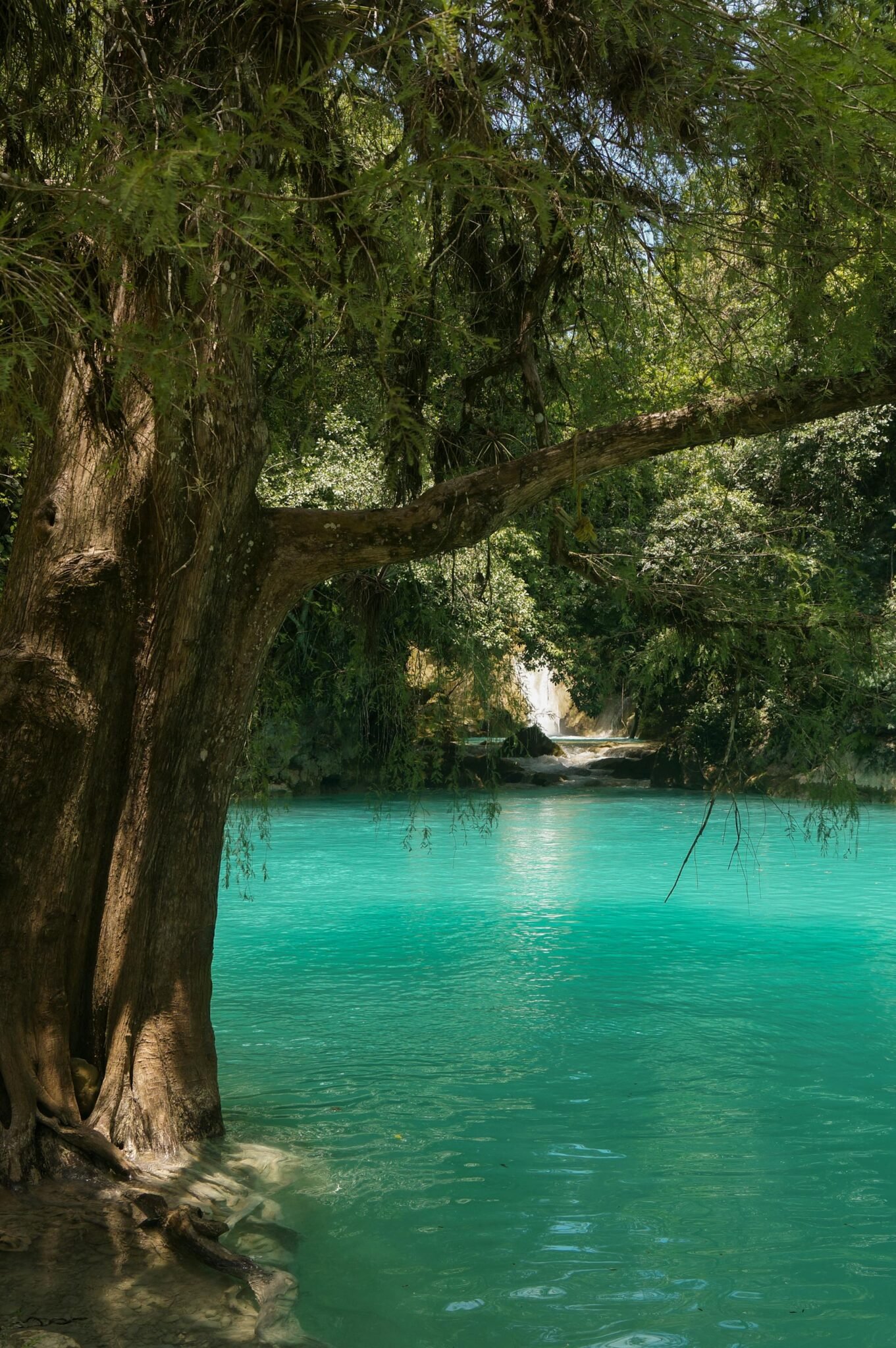 huasteca (3)