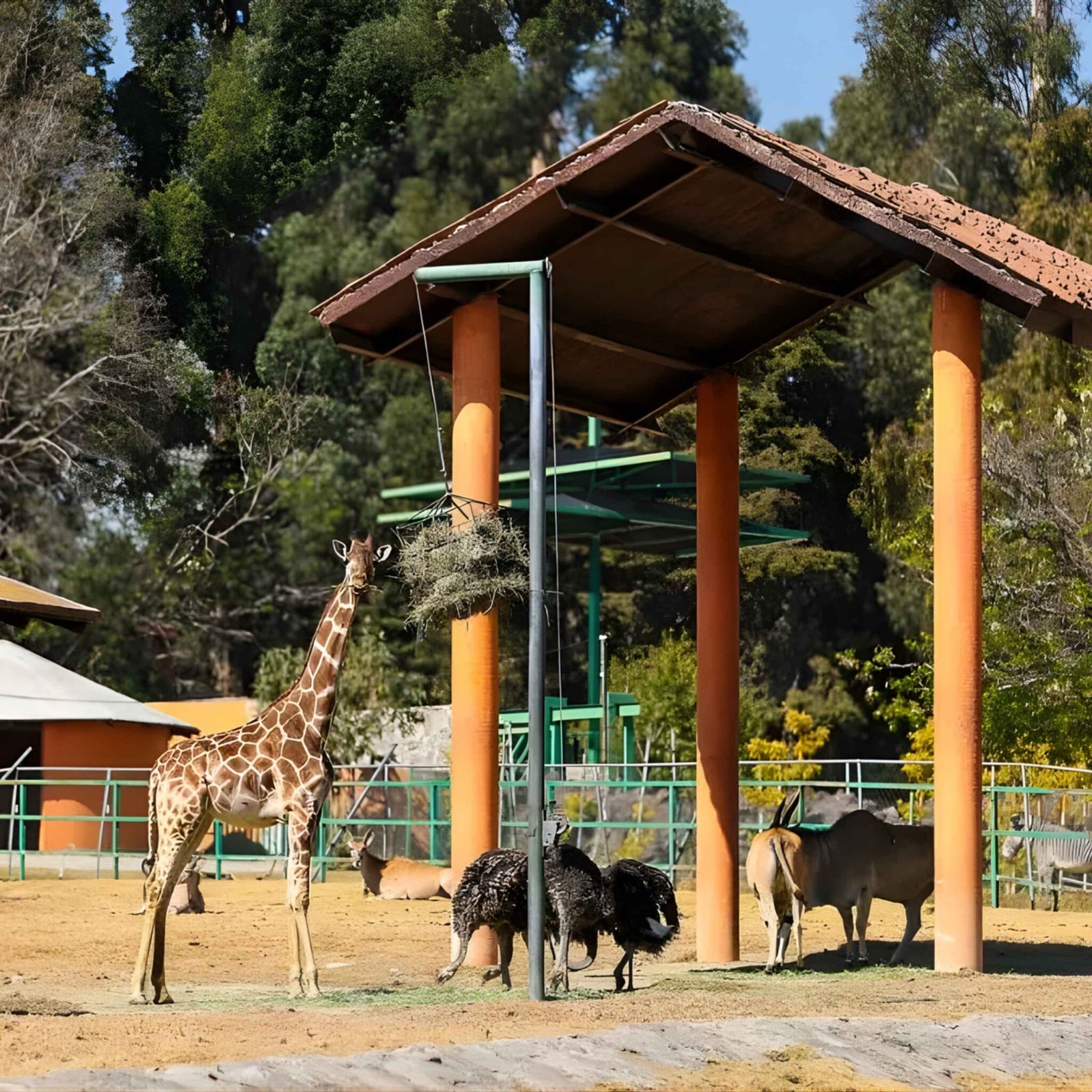 tour galeria lchv (1)