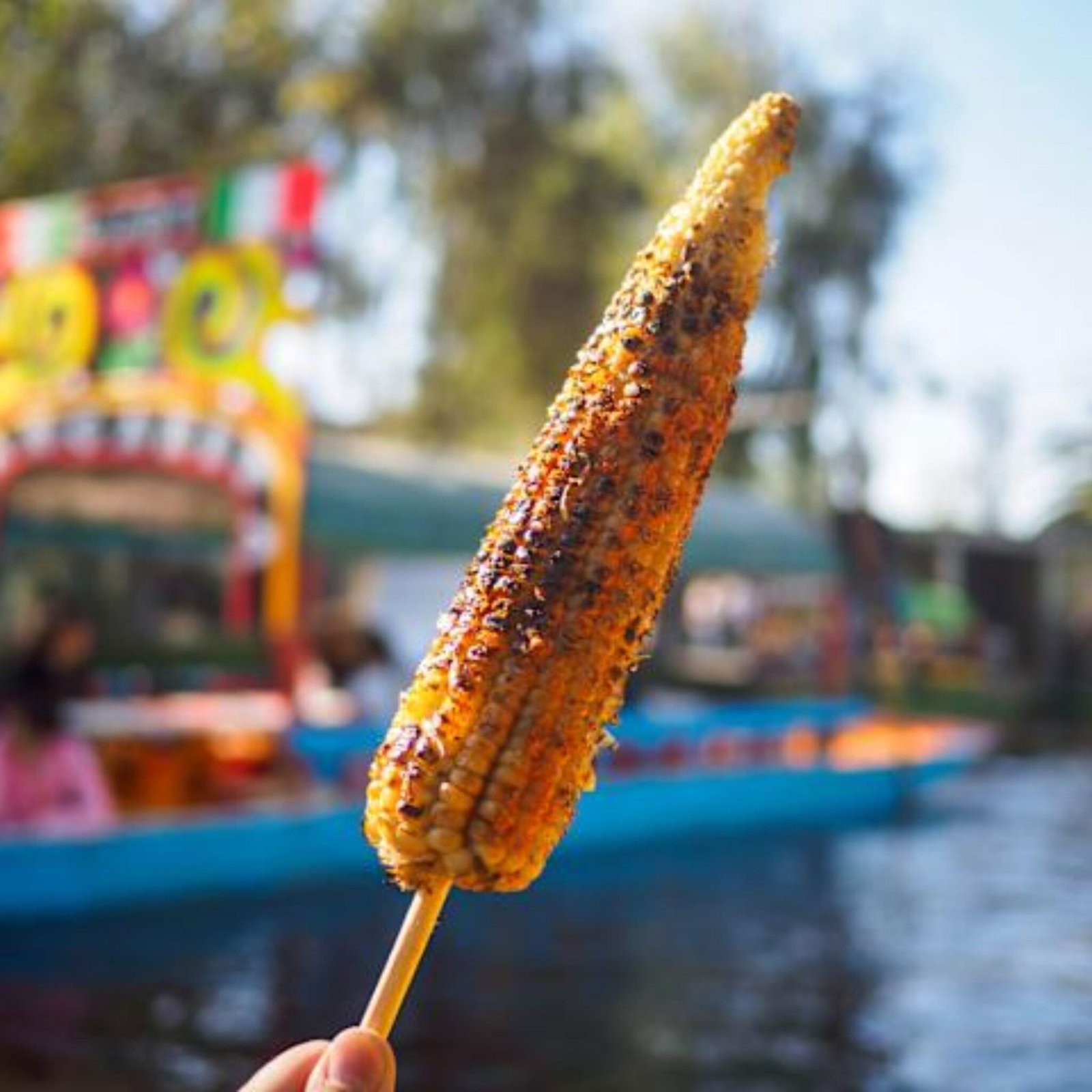 tour galeria lchv xochimilco (2)