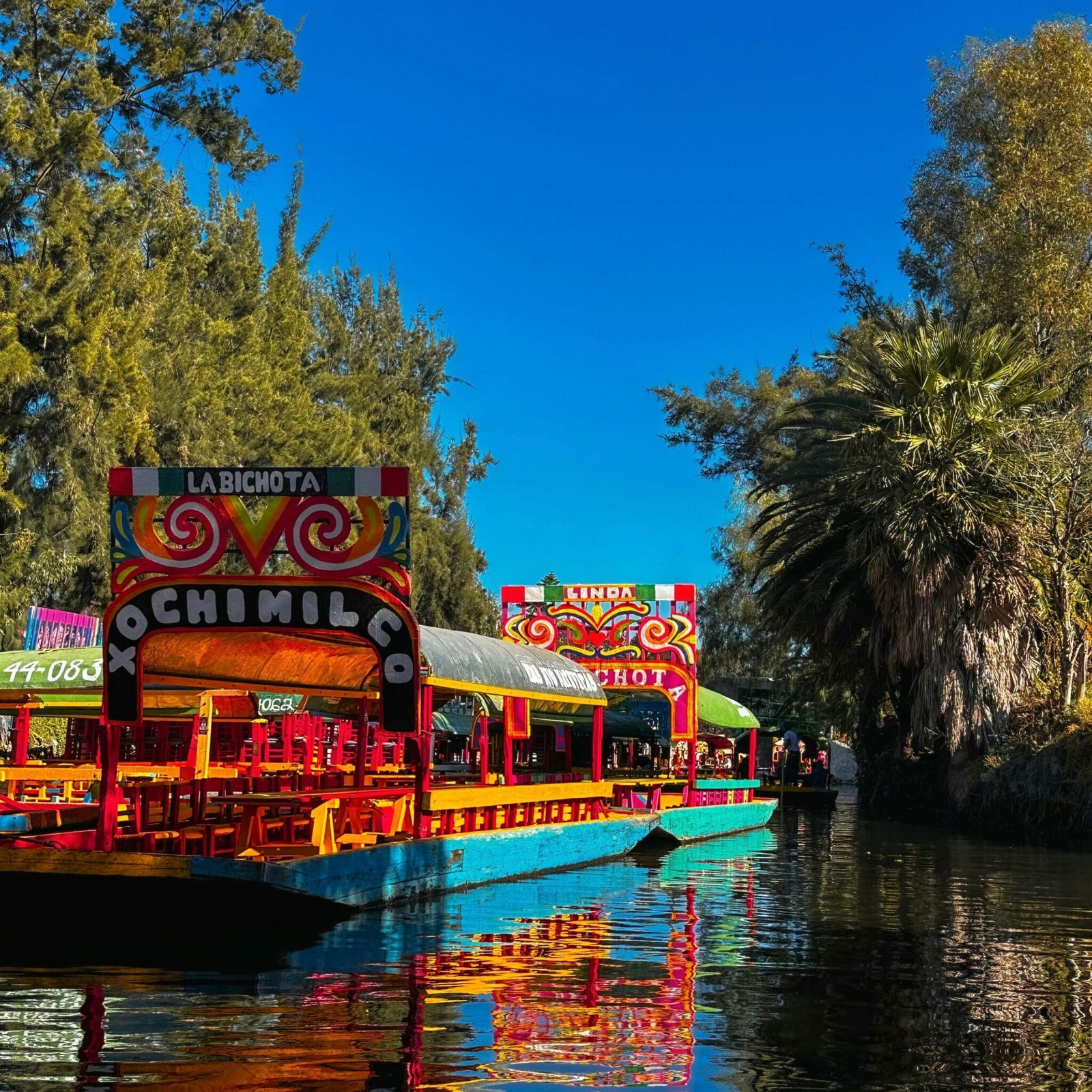 xochimilco2